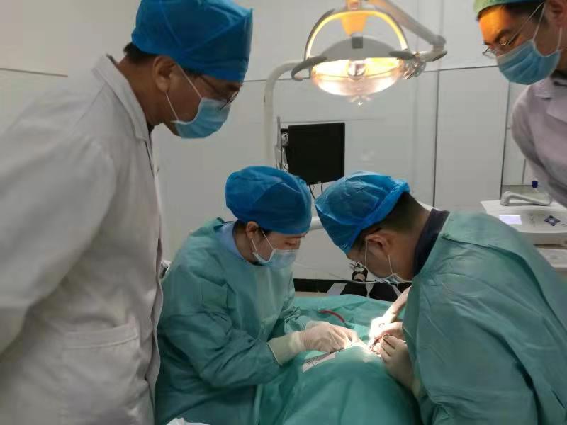 乐鱼手机站入口口腔科：守护健康第一关用心呵护患者口腔健康